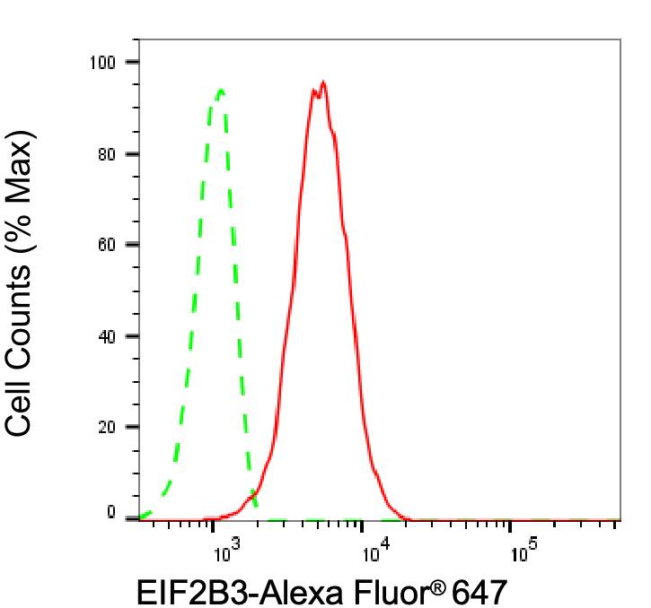 eIF2B3 Antibody (24GB8150)