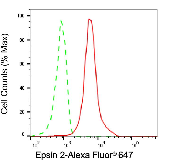 Epsin-2 Antibody (24GB8190)