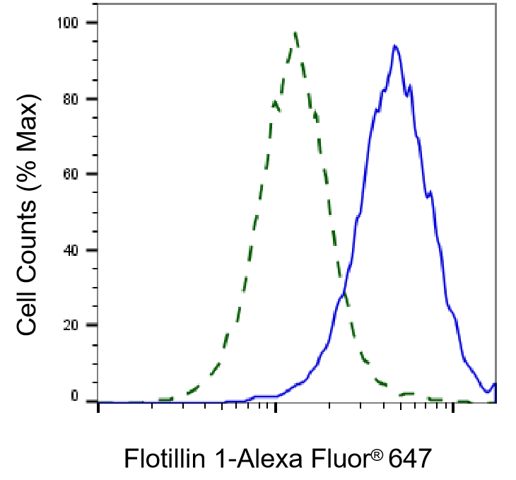 Flotillin-1 Antibody (23GB1015)