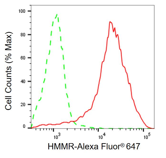 RHAMM/CD168 Antibody (24GB13600)