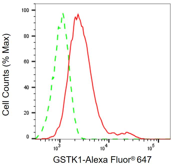 Glutathione S Transferase kappa 1 Antibody (24GB13635)