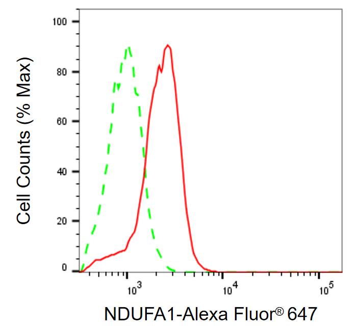 NDUFA1 Antibody (24GB13685)