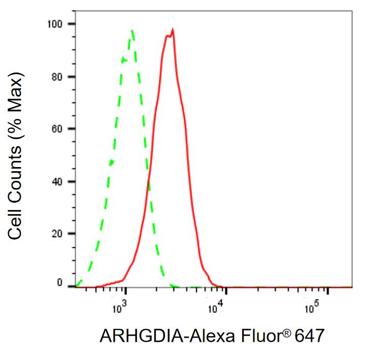 RhoGDI Antibody (24GB13725)