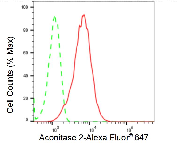 Aconitase 2 Antibody (23GB1585)