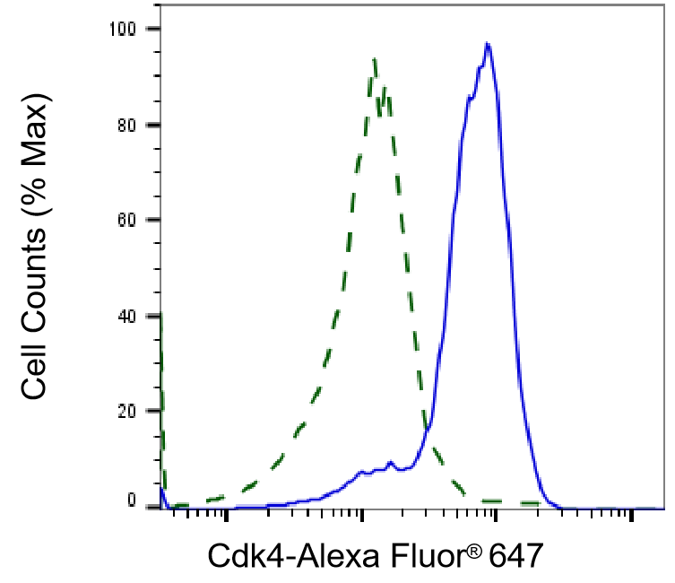 CDK4 Antibody (23GB745)