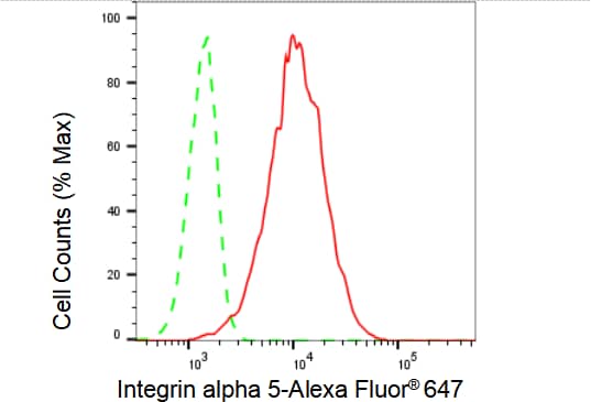 Integrin alpha 5/CD49e Antibody (23GB1050)