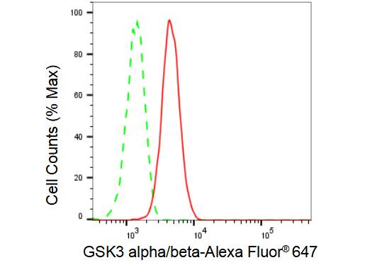 GSK-3 alpha/beta Antibody (23GB1100)