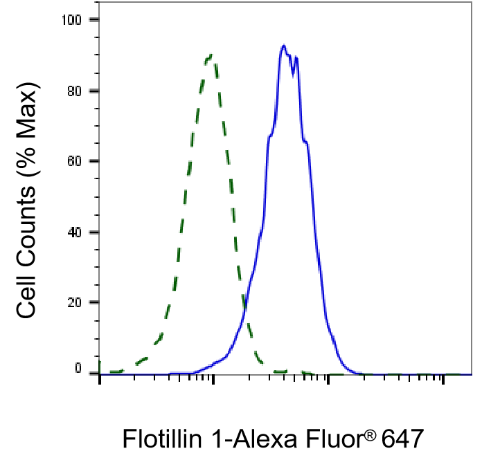 Flotillin-1 Antibody (23GB845)