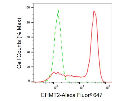 G9a/EHMT2 Antibody (23GB825)