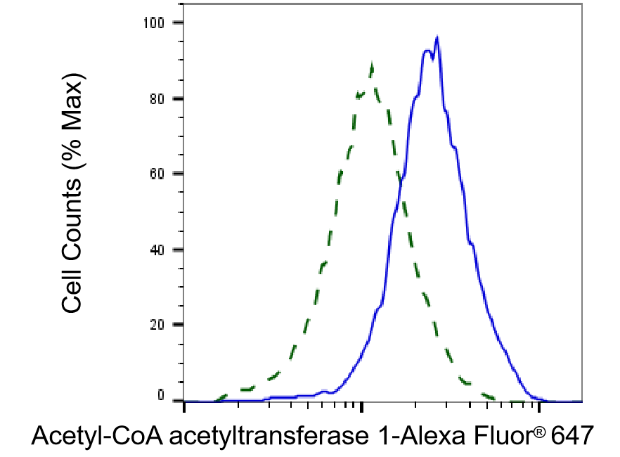ACAT1 Antibody (23GB1255)