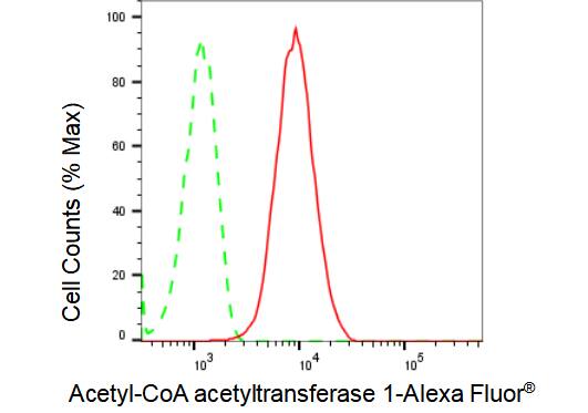 ACAT1 Antibody (23GB1255)
