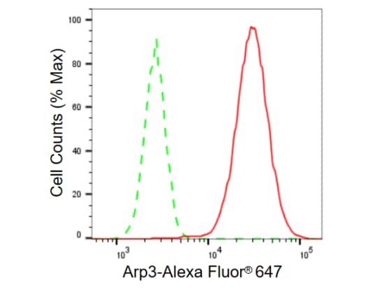 ACTR3 Antibody (23GB615)