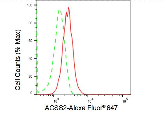 Acetyl CoA synthetase Antibody (23GB1705)