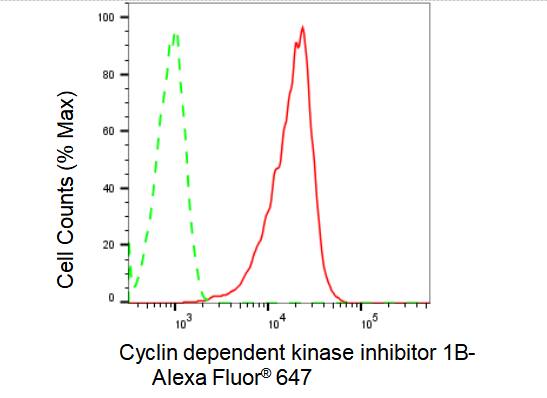 p27/Kip1 Antibody (23GB1825)