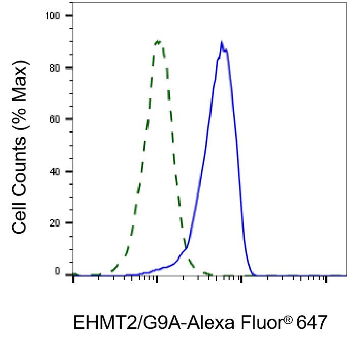 G9a/EHMT2 Antibody (23GB820)