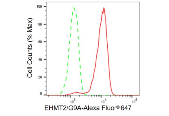 G9a/EHMT2 Antibody (23GB820)