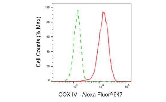 COX4 Antibody (23GB775)