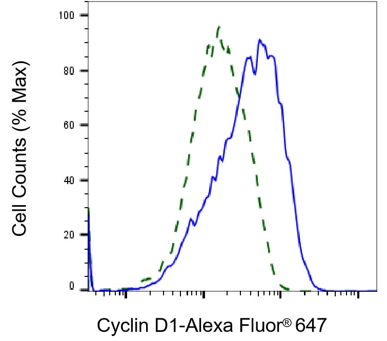 Cyclin D1 Antibody (23GB735)