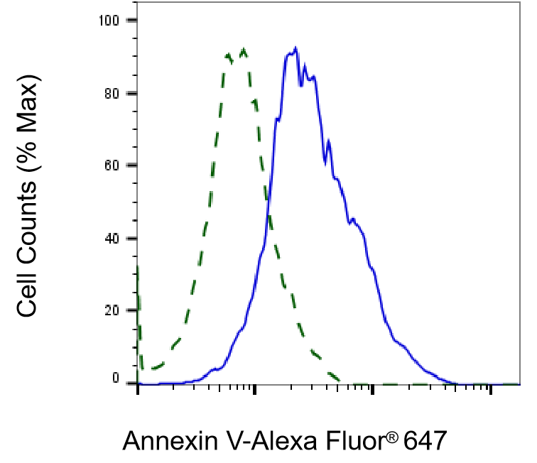 Annexin V Antibody (23GB650)