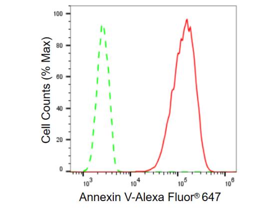 Annexin V Antibody (23GB650)