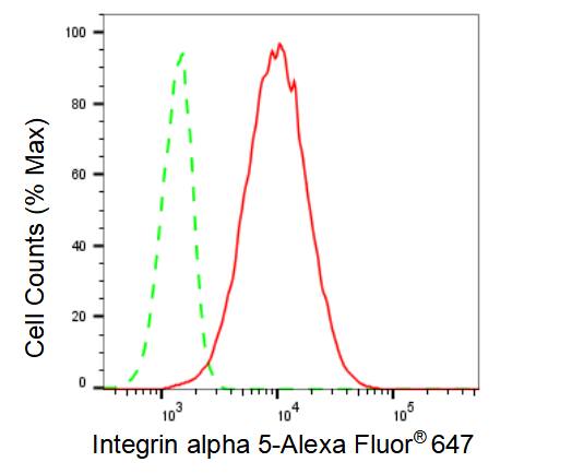 Integrin alpha 5/CD49e Antibody (23GB880)