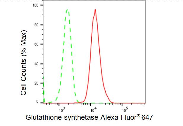 Glutathione Synthetase Antibody (23GB4385)