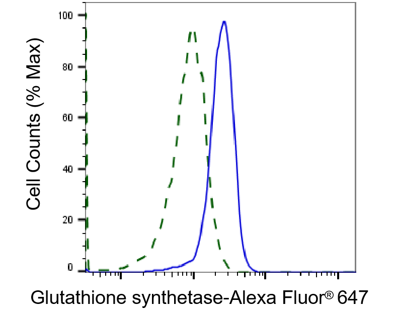 Glutathione Synthetase Antibody (23GB4385)