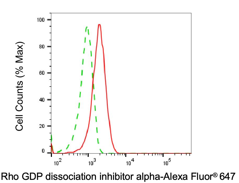 RhoGDI Antibody (24GB6240)