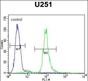 Vitrin Antibody (RB27060)