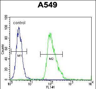 Aquaporin 12B Antibody (RB29754)