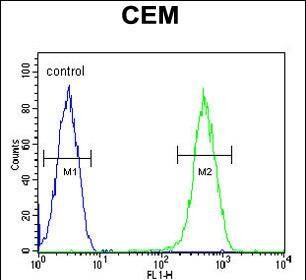 CRCT1 Antibody (RB27599)