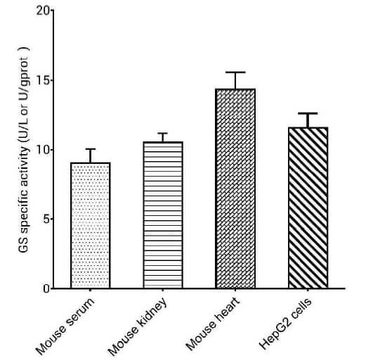 Glutamine Synthetase Activity Assay Kit (Colorimetric) [NBP3-57005]