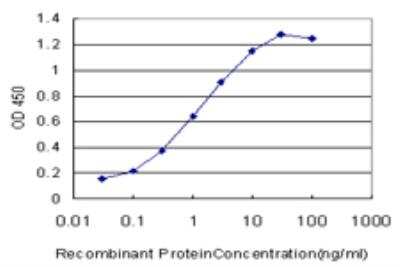 ELISA: non-muscle Myosin IIA Antibody (4H3) [H00004627-M06]