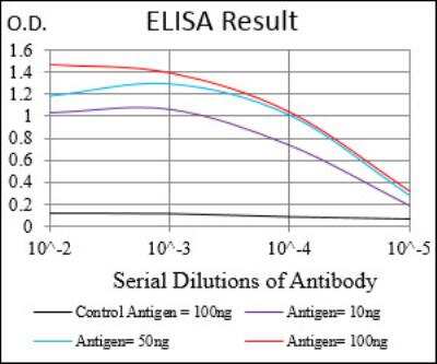 ELISA: p130 Antibody (2C8A8) - BSA Free [NBP2-52551]