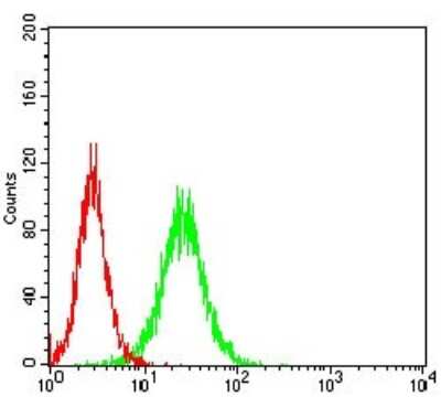 Flow Cytometry: p130 Antibody (2C8A8) - BSA Free [NBP2-52551]