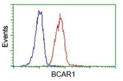 Flow Cytometry: p130Cas/BCAR1 Antibody (OTI1A9) - Azide and BSA Free [NBP2-73181]