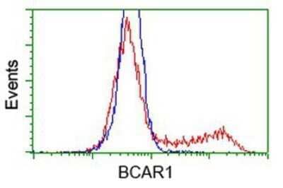 Flow Cytometry: p130Cas/BCAR1 Antibody (OTI1A9) - Azide and BSA Free [NBP2-73181]