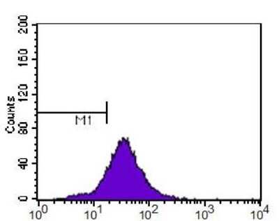 Flow Cytometry: p14ARF/CDKN2A Antibody - BSA Free [NB200-111]