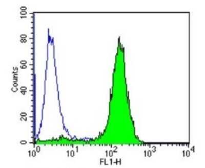Flow Cytometry: p23/PTGES3 Antibody (JJ3) [NB300-576]