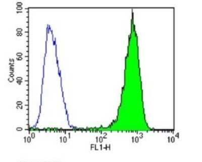 Flow Cytometry: p23/PTGES3 Antibody (JJ3) [NB300-576]