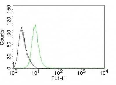 Flow Cytometry: p27/Kip1 Antibody (KIP1/769) - Azide and BSA Free [NBP2-47769]