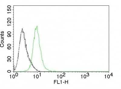 Flow Cytometry: p27/Kip1 Antibody (KIP1/769) [NBP2-44495]