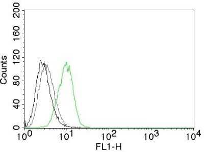 Flow Cytometry: p27/Kip1 Antibody (SX53G8) [NBP2-32889]