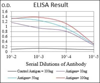 ELISA: p38 alpha Antibody (10B11C8) - BSA Free [NBP2-37312]