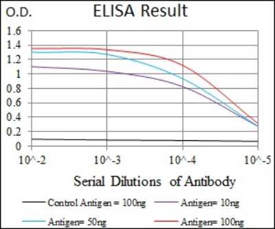 ELISA: p38 alpha Antibody (8G4D11) - BSA Free [NBP2-37378]