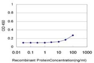 ELISA: p38 beta/MAPK11 Antibody (1F9) [H00005600-M03]