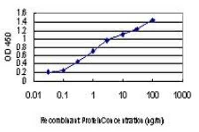 ELISA: p38 delta/SAPK4 Antibody (2B2) [H00005603-M05]