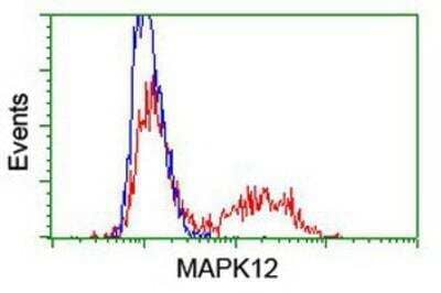 Flow Cytometry: p38 gamma/SAPK3 Antibody (OTI10E1) [NBP1-47852]
