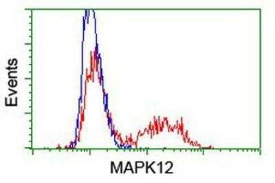 Flow Cytometry: p38 gamma/SAPK3 Antibody (OTI10E1) - Azide and BSA Free [NBP2-73189]