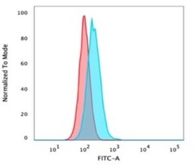 Flow Cytometry: p40/deltaNp63 Antibody (P40/4396R) [NBP3-13805]